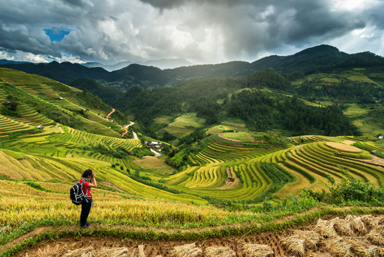 Traveler take picture at Rice fields on terraced of mu cang chai District, YenBai province, Northwest Vietnam