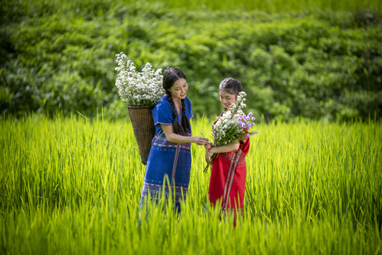 Two people stand in a lush green rice field living in vietnam.