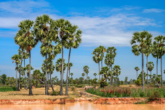 Rural tropical landscape Cambodia