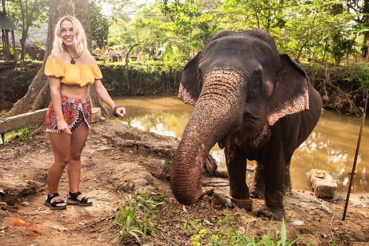 Tourists bathing and feeding elephants at an ethical elephant sanctuary