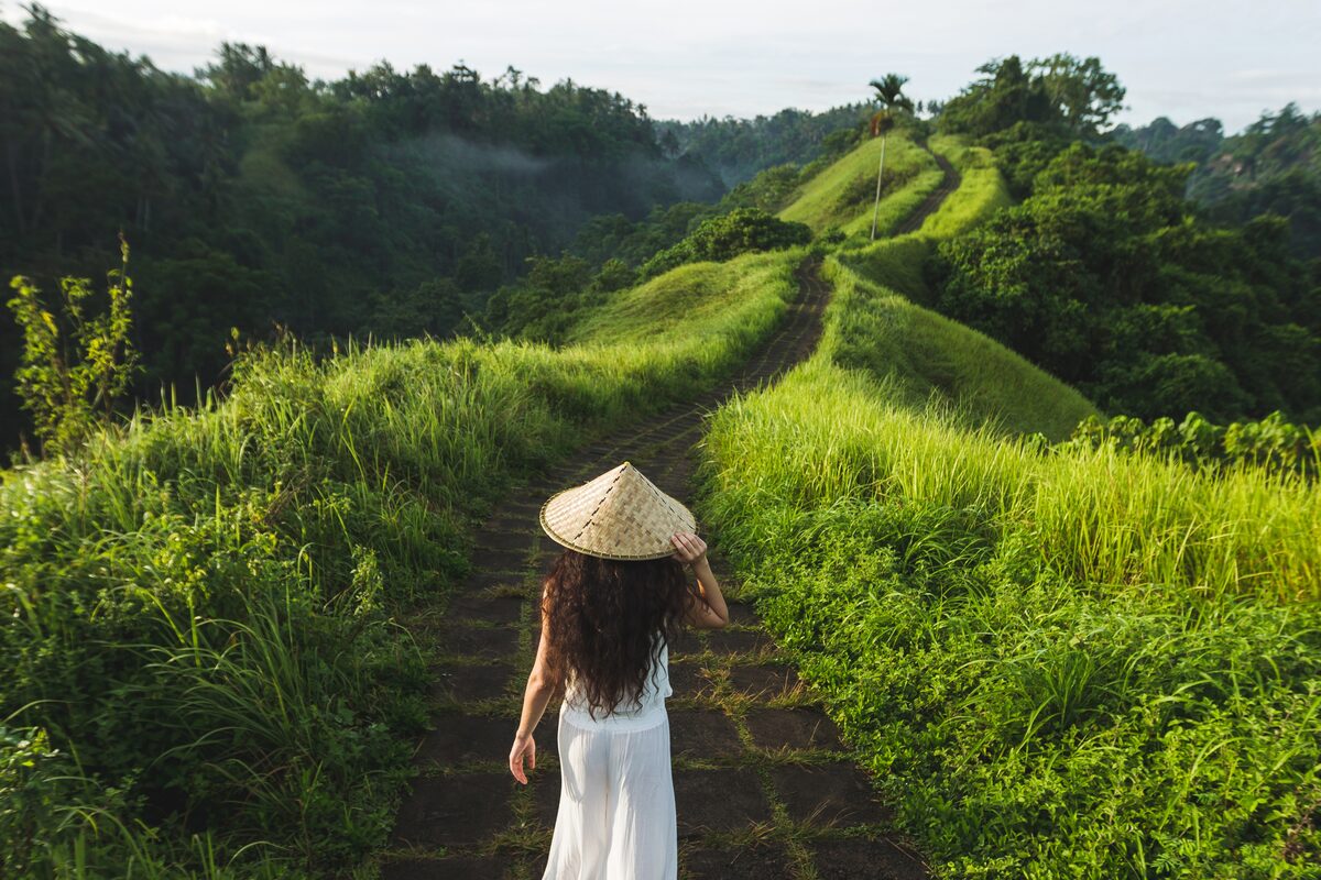 Campuhan Ridge Walk in Ubud with green hills and morning mist
