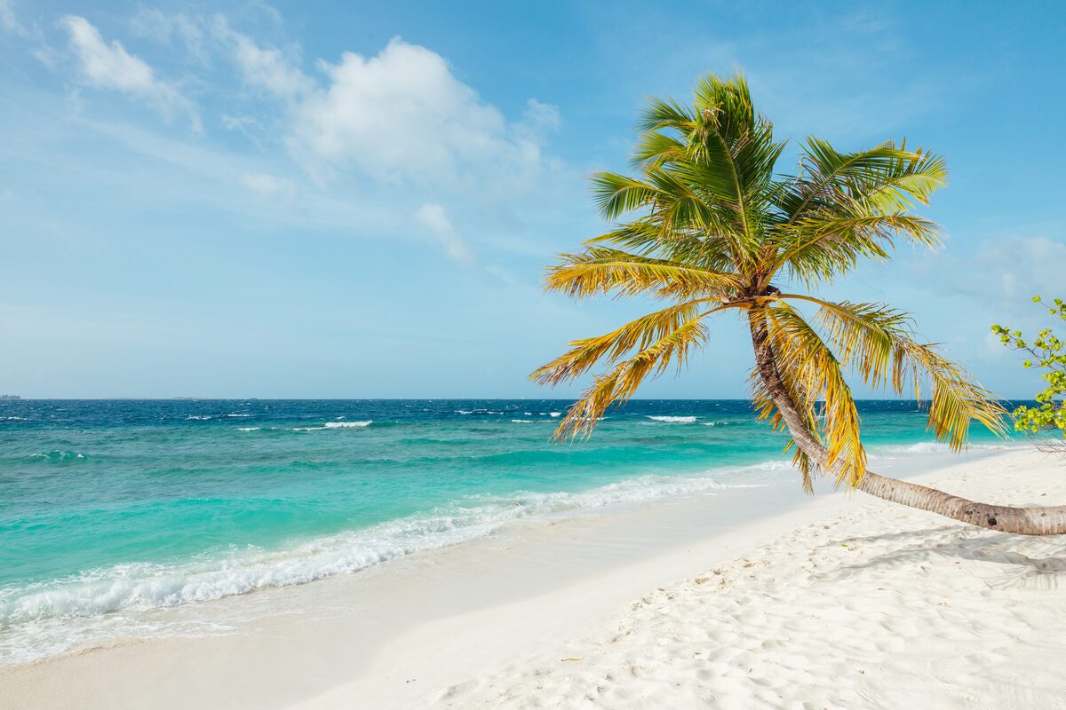 Aerial view of turquoise Caribbean water, white sand, and palm trees — the best beaches in the Caribbean