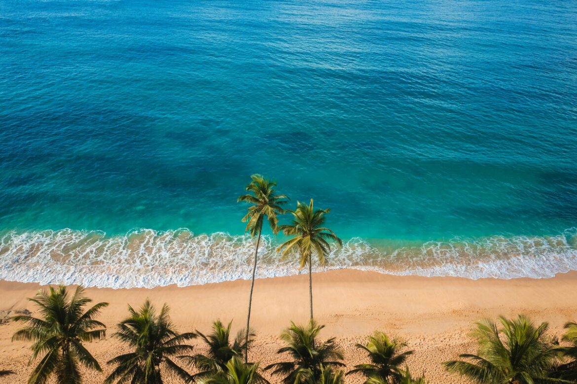 Aerial view of a turquoise Caribbean beach with palm trees and clear skies — the best time to visit the Caribbean