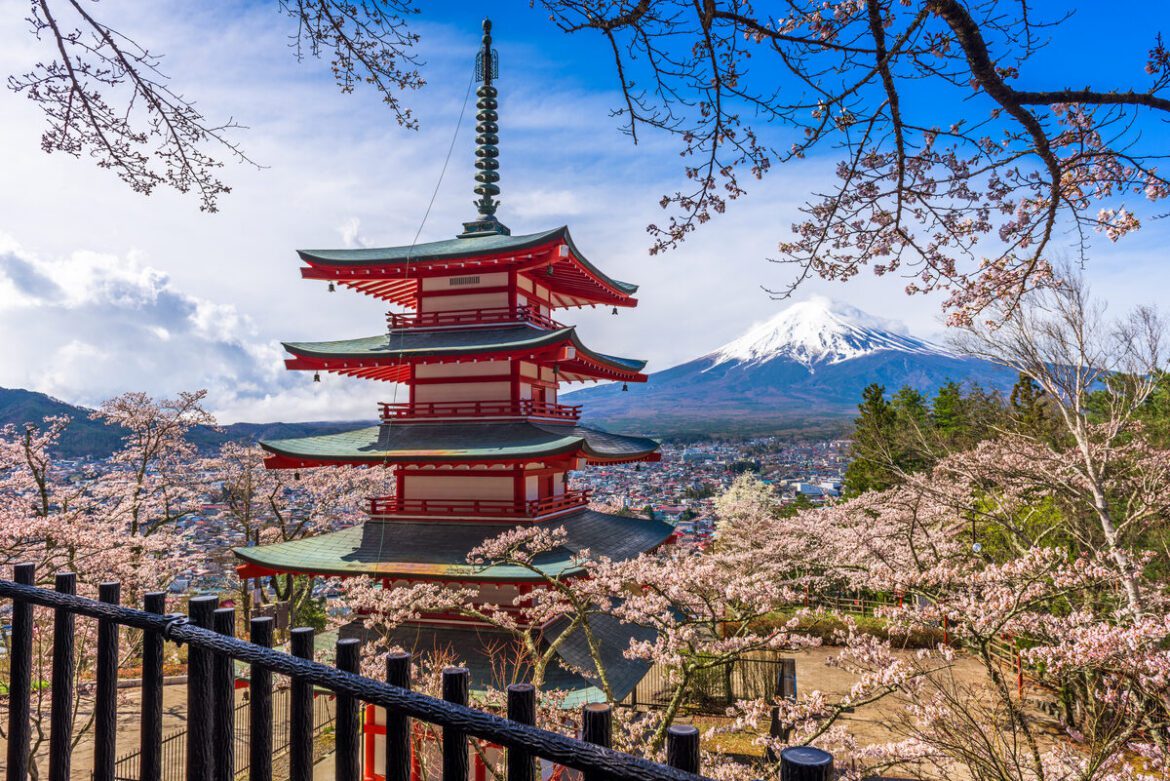 Chureito Pagoda framed by cherry blossoms with Mount Fuji behind — a 7 days in Japan itinerary highlight