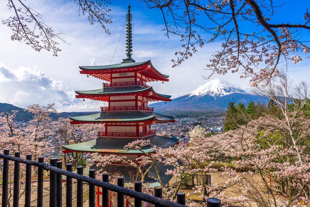 Chureito Pagoda framed by cherry blossoms with Mount Fuji behind — a 7 days in Japan itinerary highlight