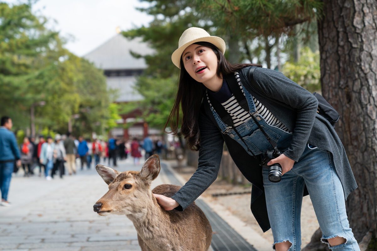 Traveler petting a friendly deer near Todai-ji Temple in Nara Park